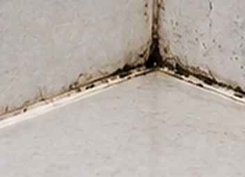 Before: black mould along old silicone in a shower corner