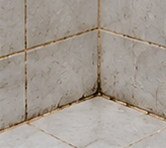 Before: cracked, stained grout in a tiled shower corner