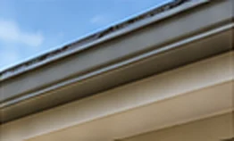 Fascia & Eaves