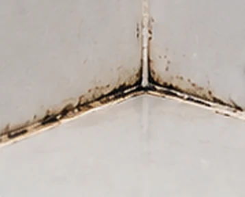 Before: black mould in old silicone along a tiled corner