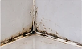 Remove Old Silicone