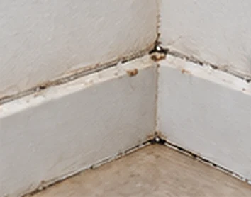 Before: cracked, dirty caulking where a skirting board meets the floor